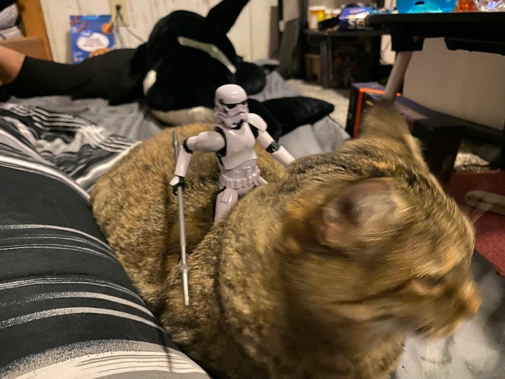 Image uploaded by Leon