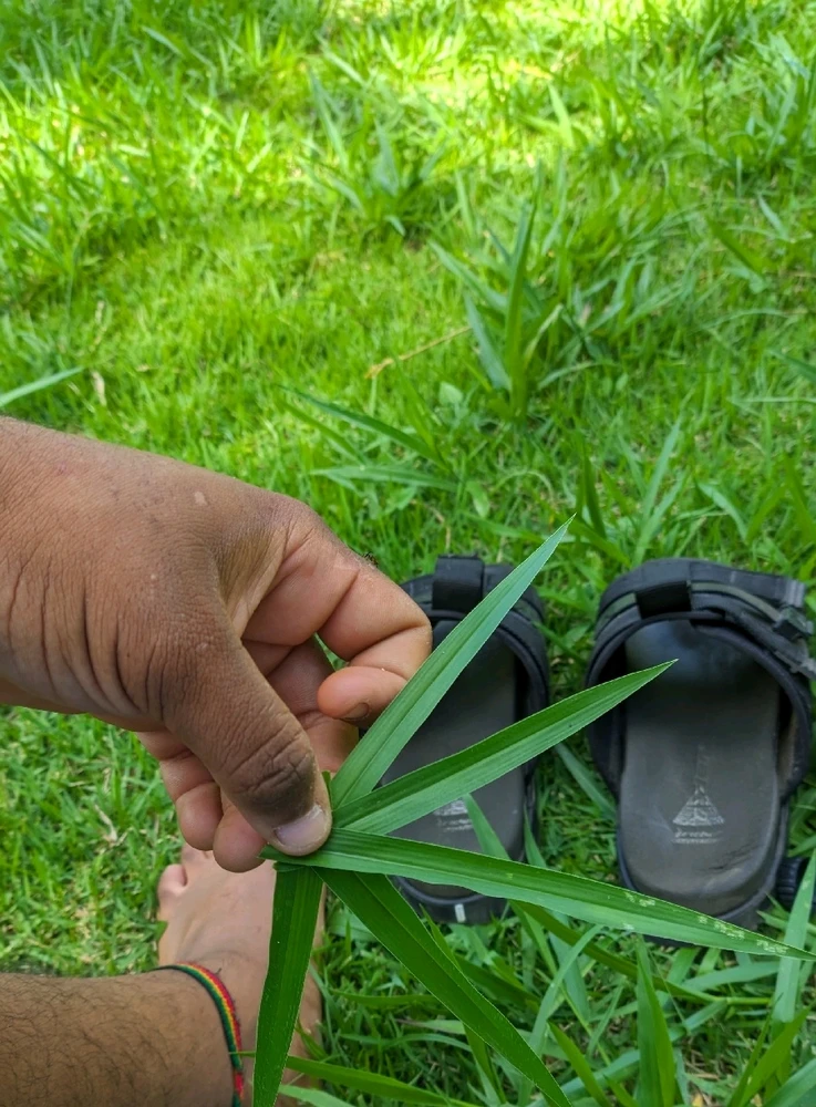 GIF enviado por Edevair Julio Sales de Araújo