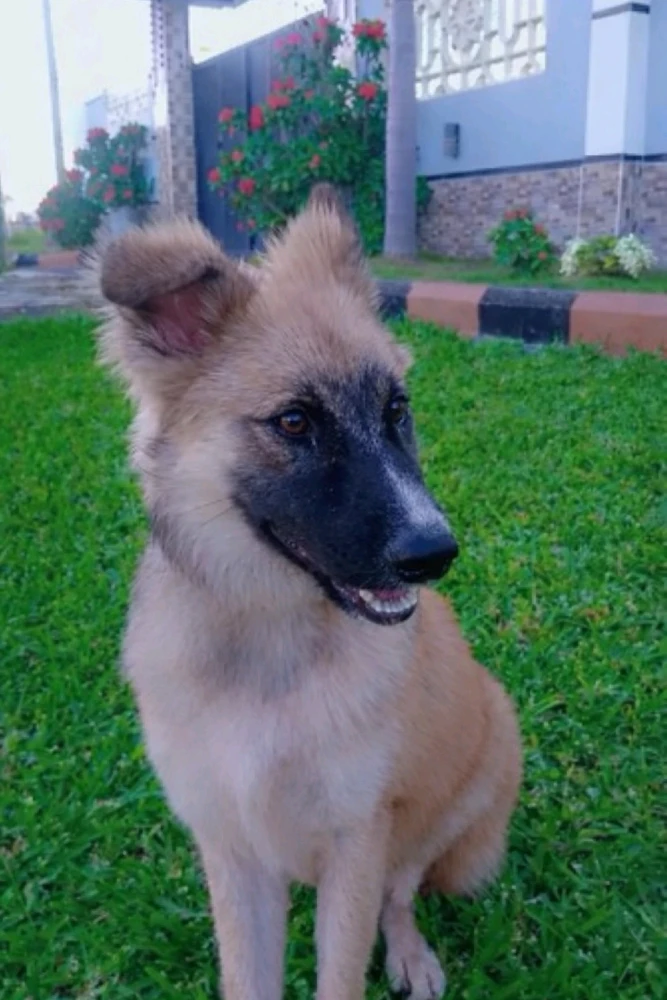 GIF uploaded by Imelda