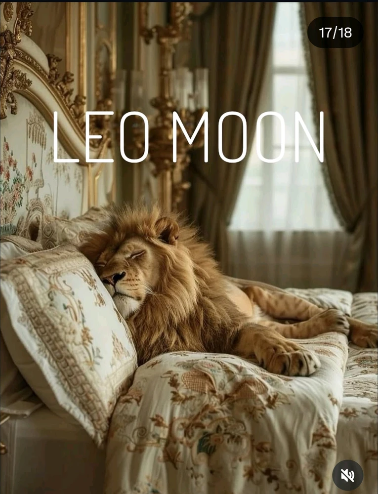 Image uploaded by Barbara