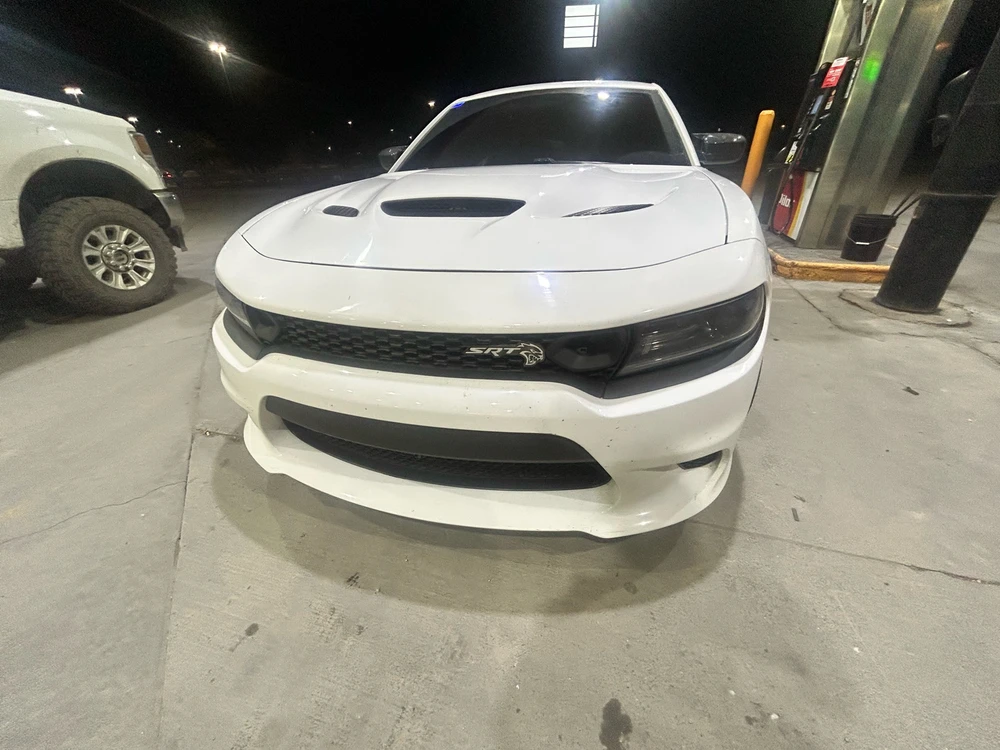 Image uploaded by Trent