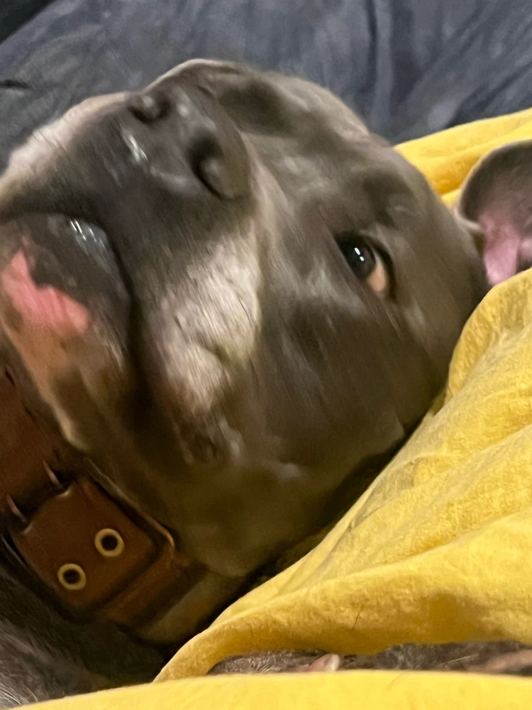 GIF uploaded by Jake