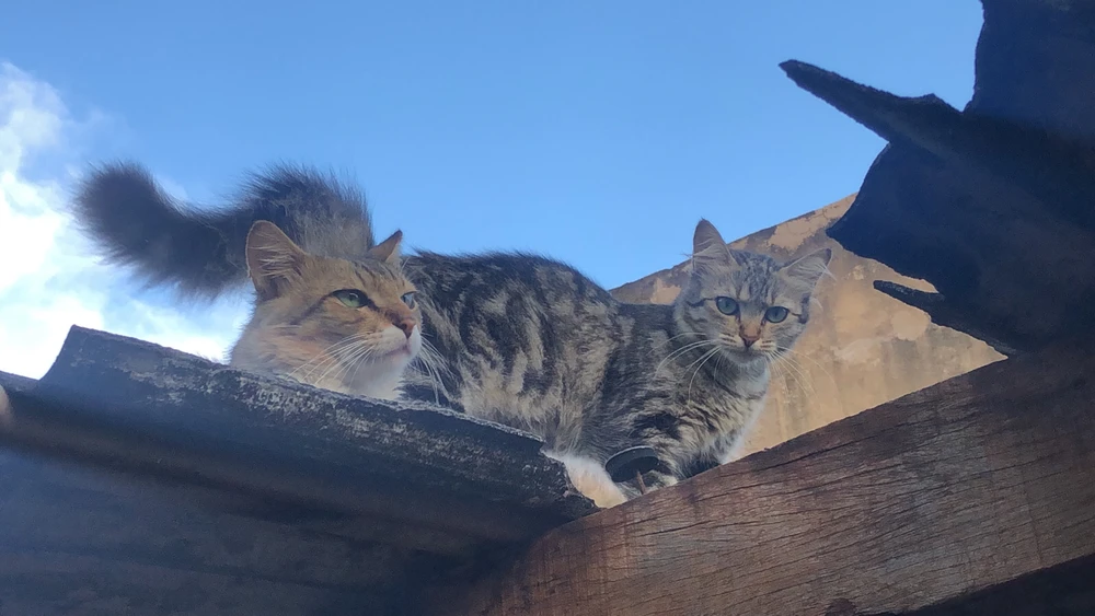 GIF enviado por Yuri