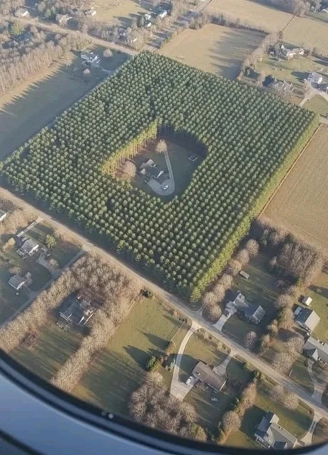 GIF ajouté par Olivier