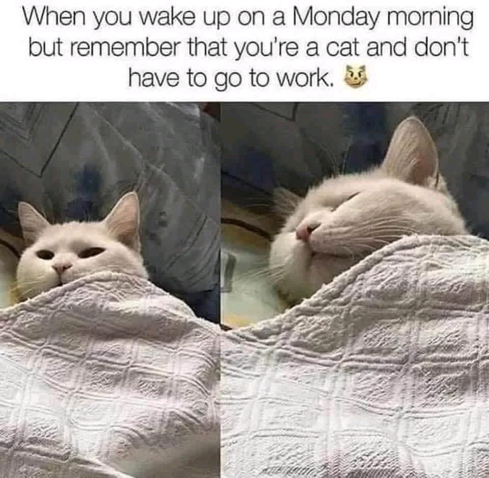 GIF uploaded by Georgina