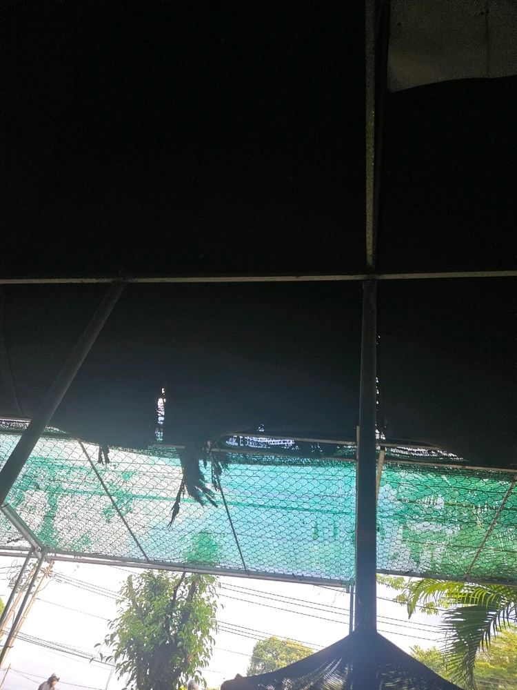 GIF được Quân tải lên