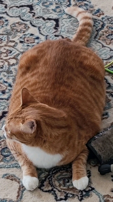 Image uploaded by Abe