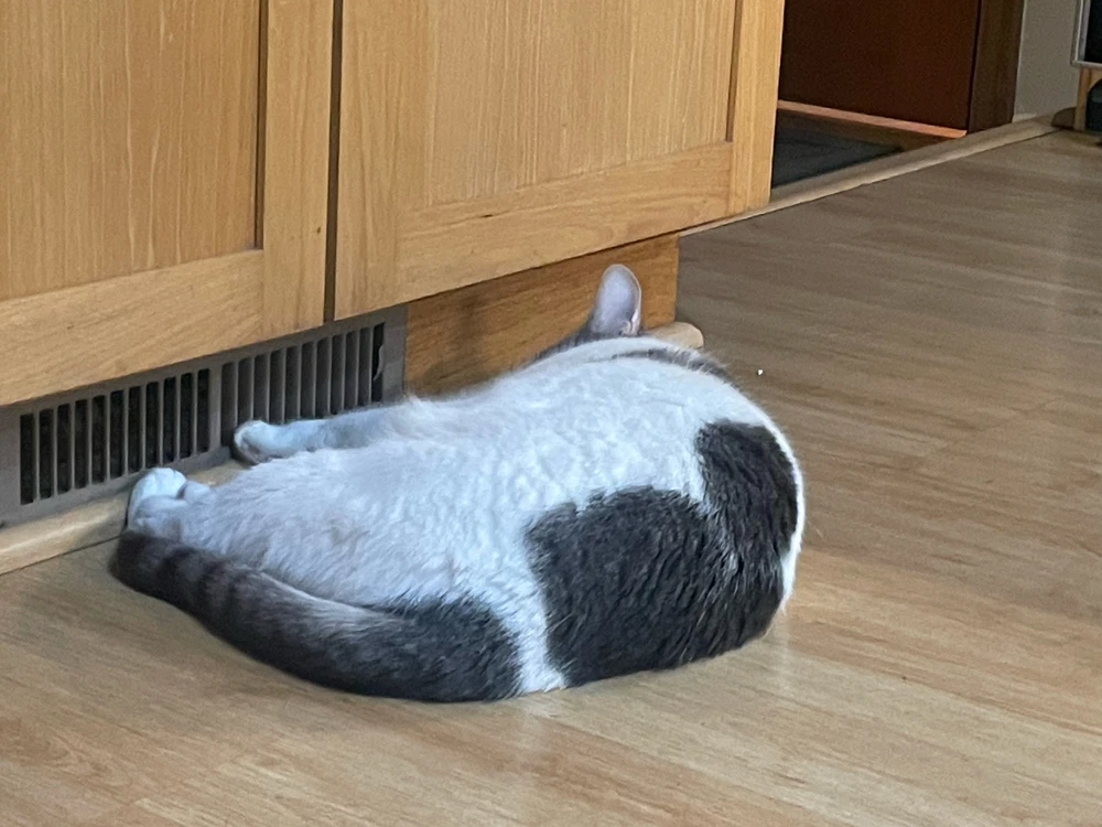 GIF uploaded by Robbie