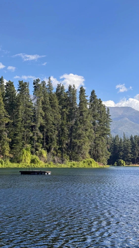 Image uploaded by Javiera