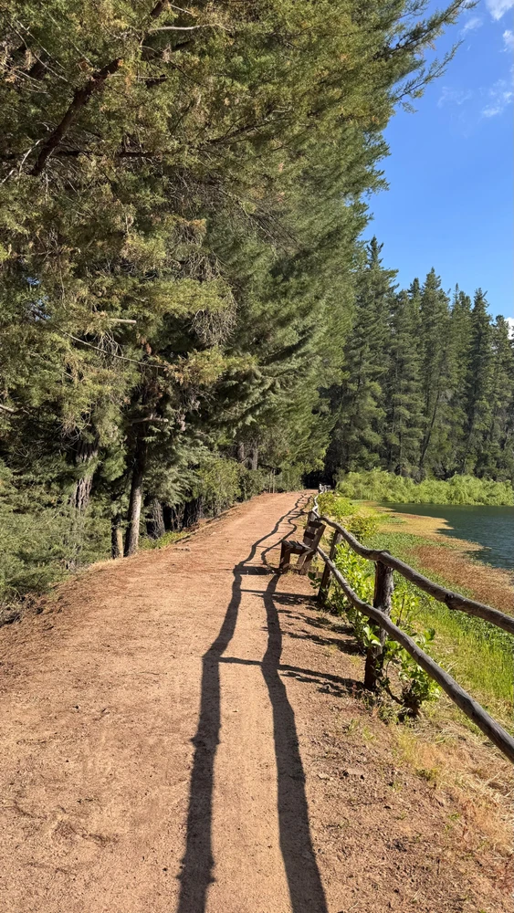 Image uploaded by Javiera