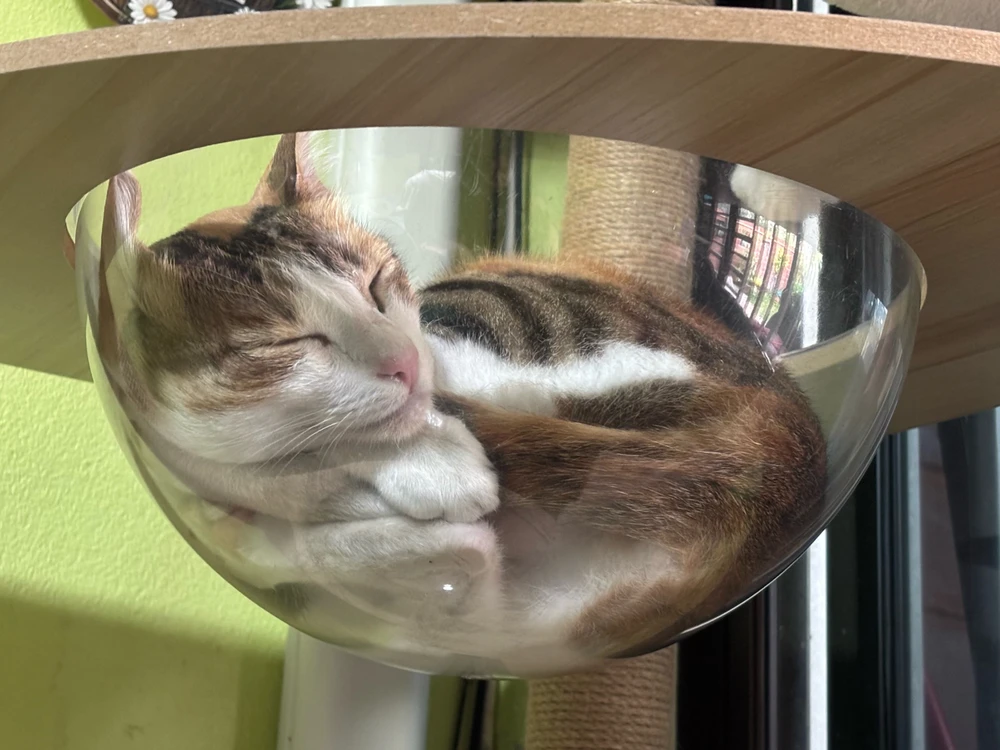 GIF uploaded by Pat♡