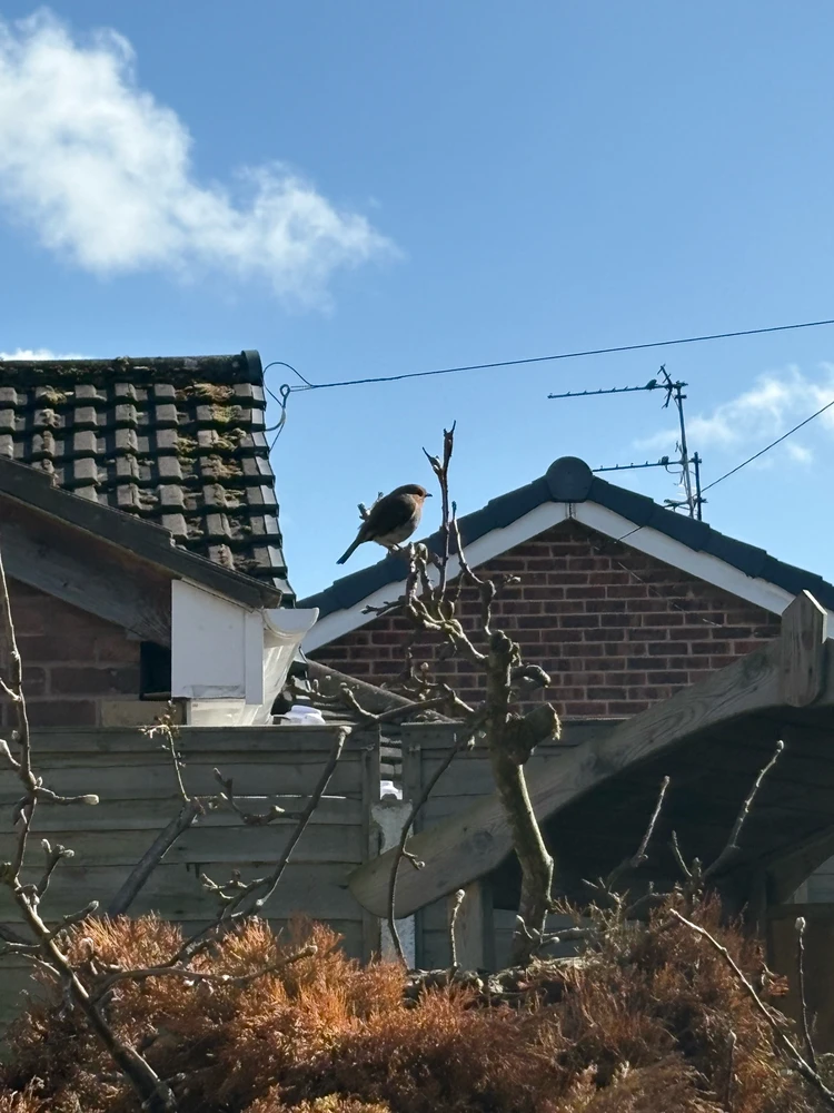 GIF uploaded by Ryan