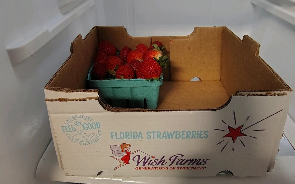 Image uploaded by Joe