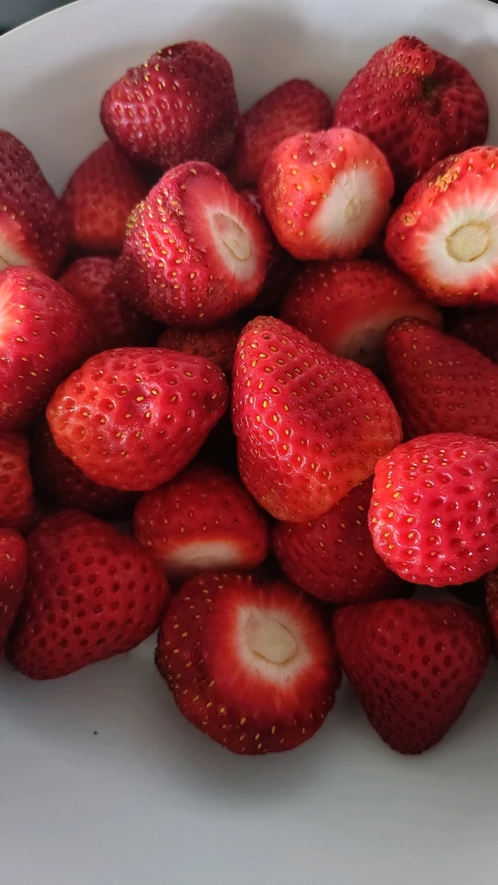 Image uploaded by Joe