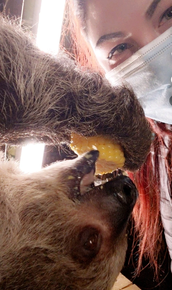 GIF uploaded by Erin