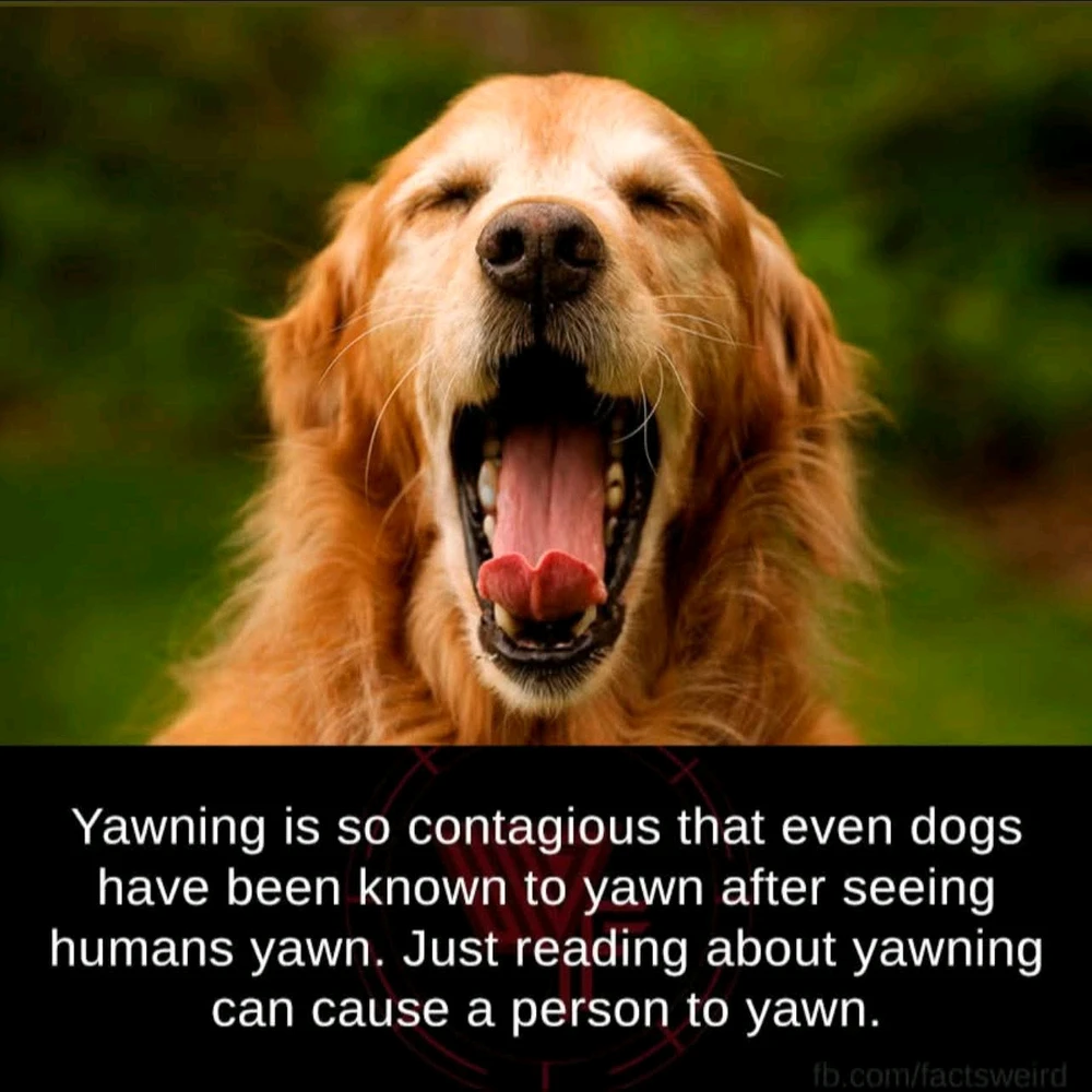 GIF uploaded by Georgina