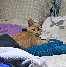 GIF uploaded by Union