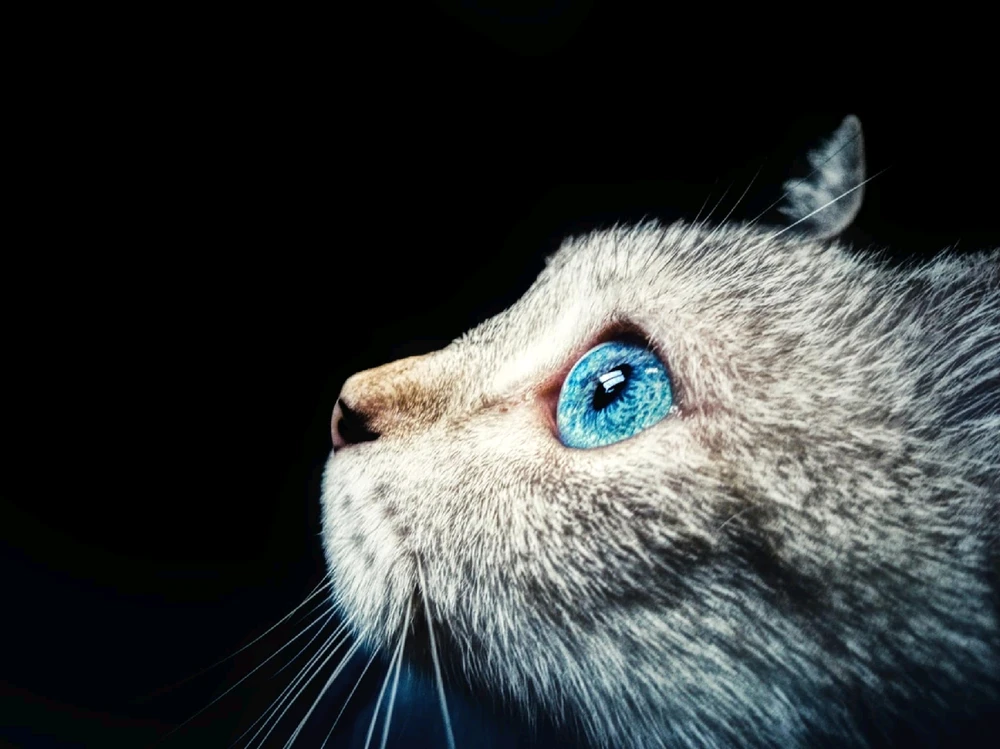 GIF uploaded by Nolan