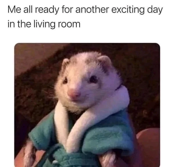 GIF uploaded by Vladimir