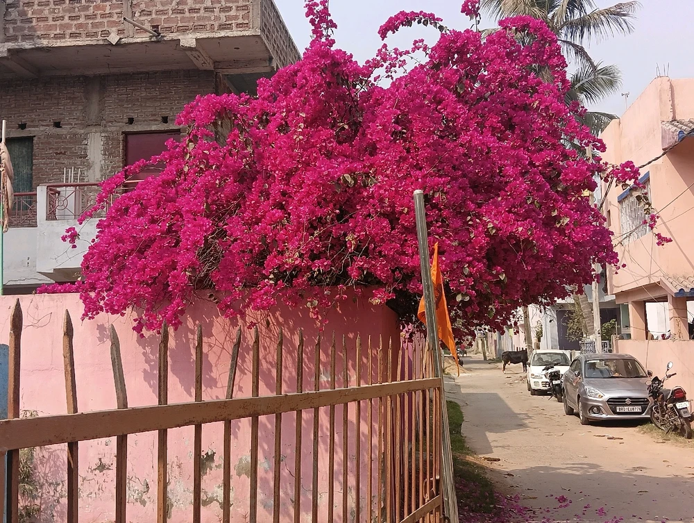 GIF uploaded by Amit