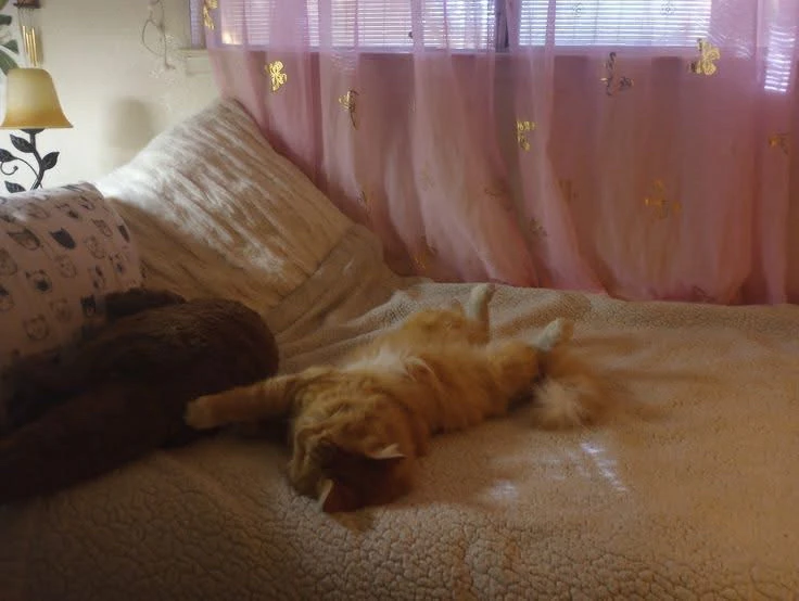 GIF uploaded by Ubaid