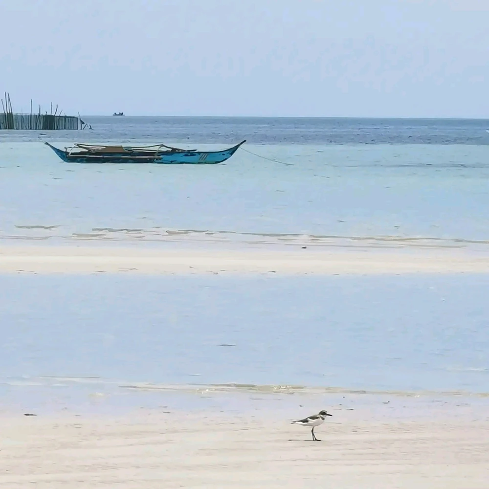 Image uploaded by Krys