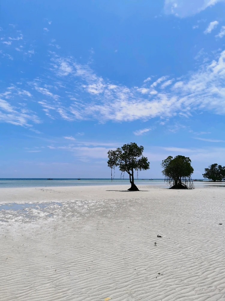 Image uploaded by Krys