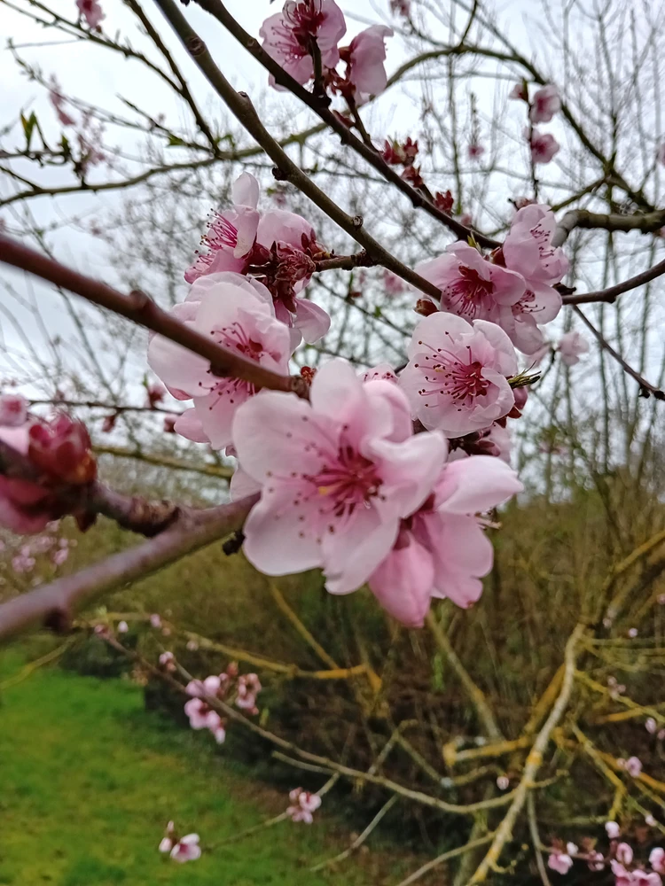 GIF ajouté par Marie
