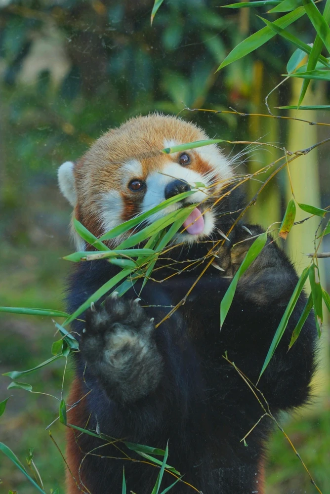 DJSung님이 올린 GIF