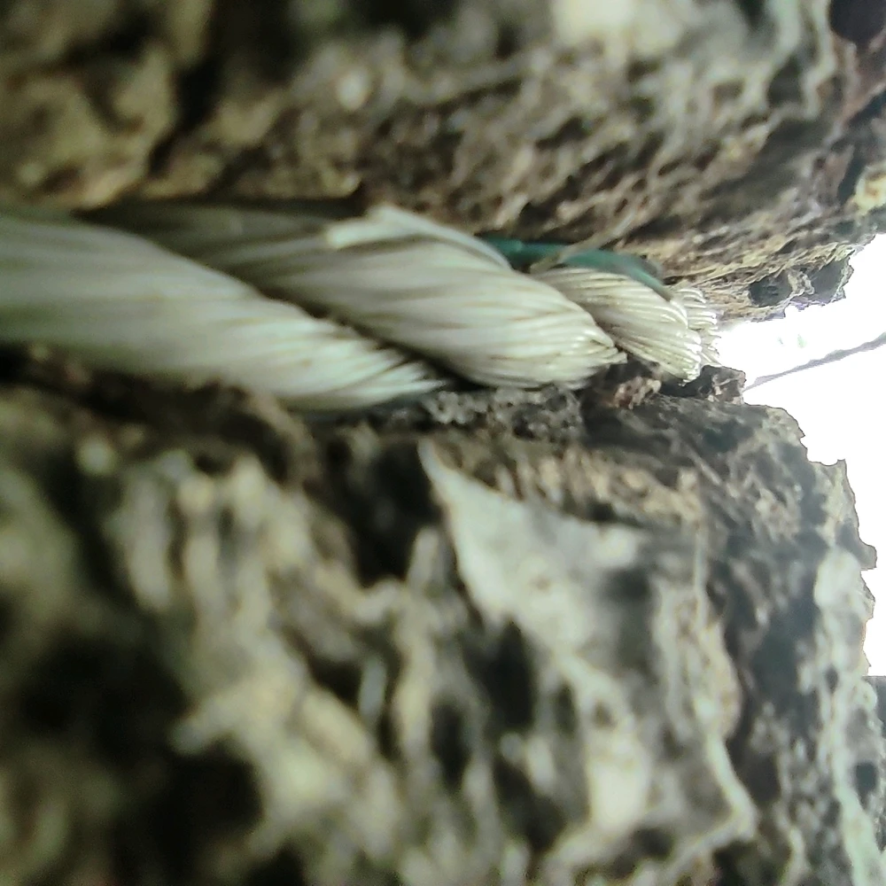 Imagen subida por Josué