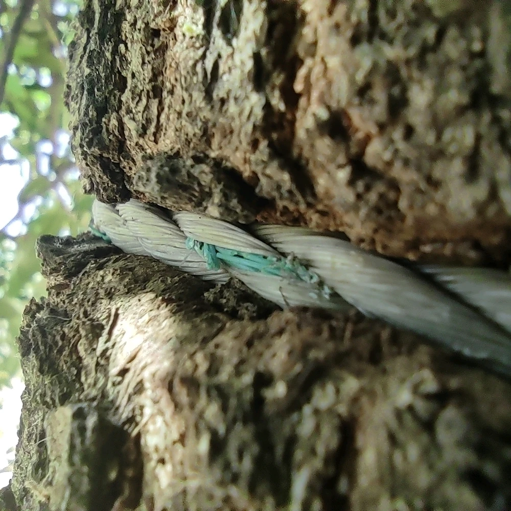 Imagen subida por Josué