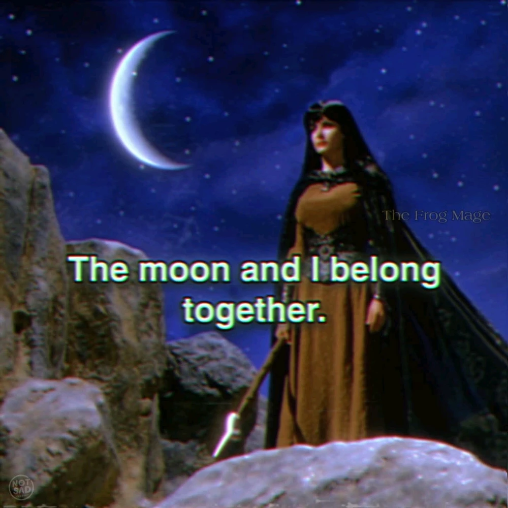 GIF uploaded by Wyatt