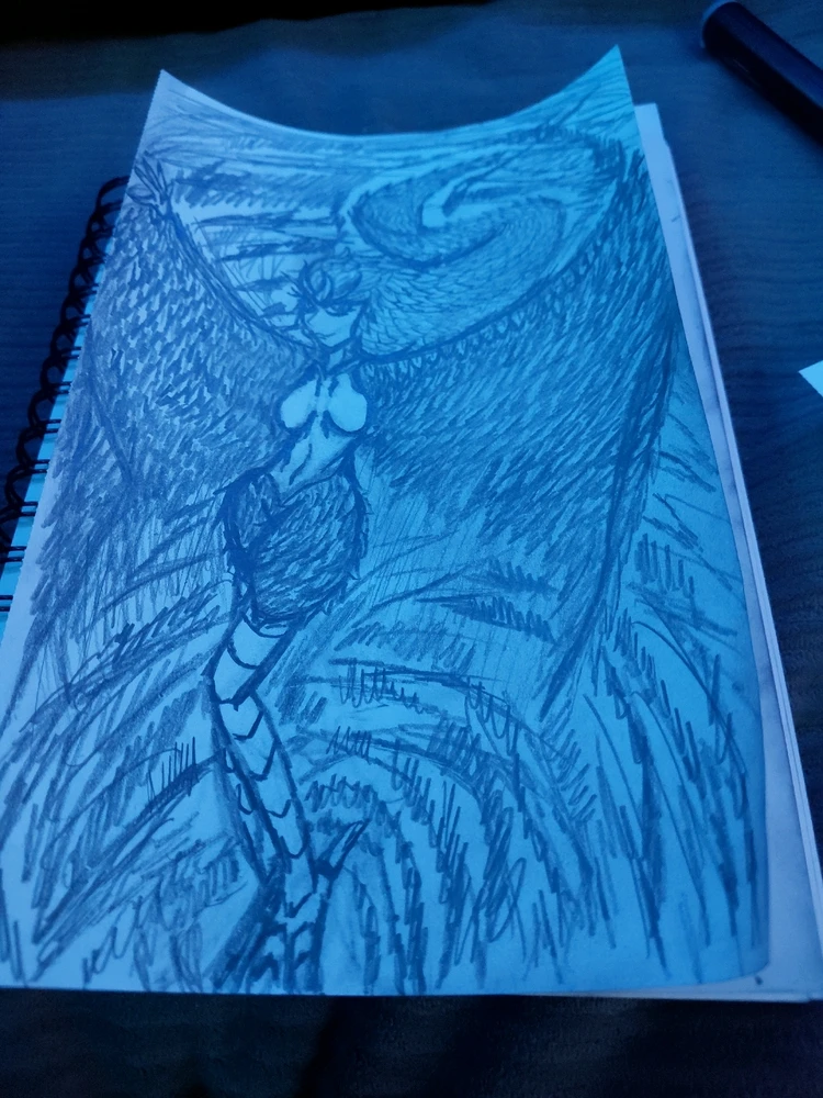 GIF uploaded by Grant