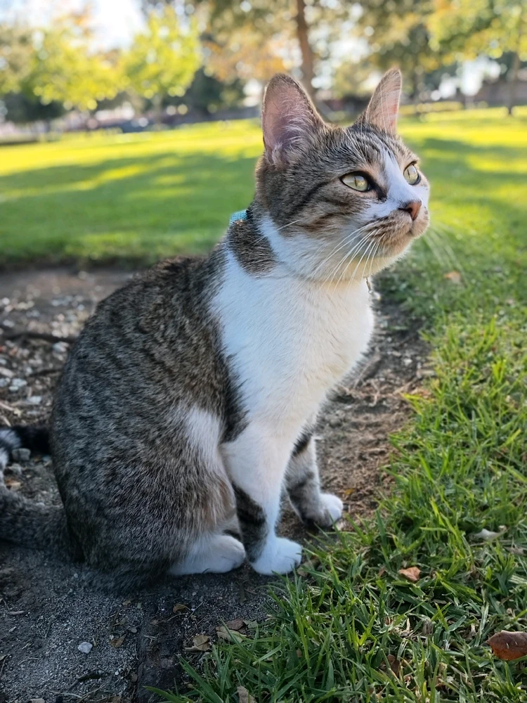 GIF uploaded by Nick