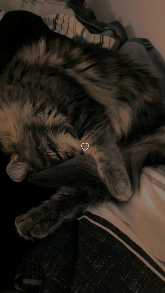 GIF uploaded by Joshua C