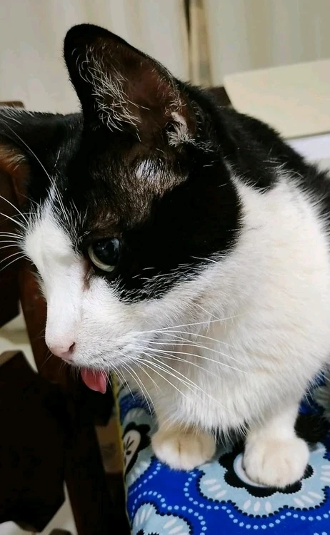 GIF enviado por Alice Maria