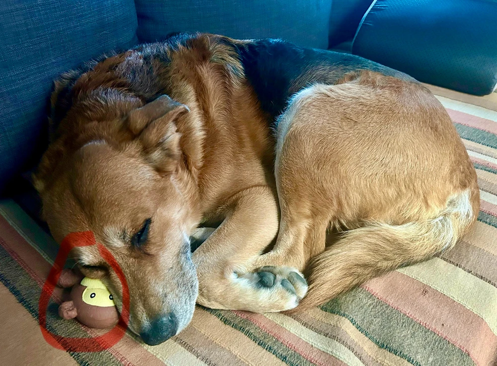 GIF caricata da Elisa