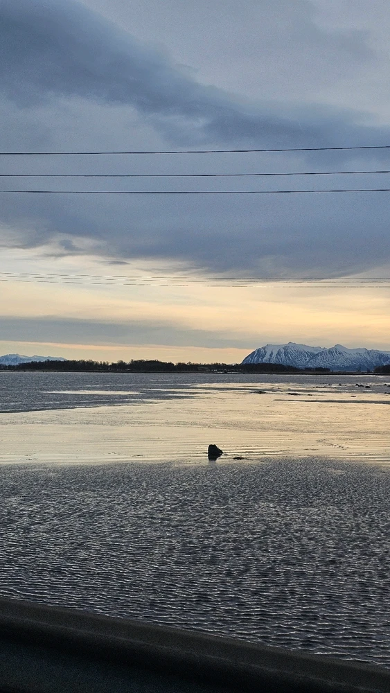 Image uploaded by Kirian