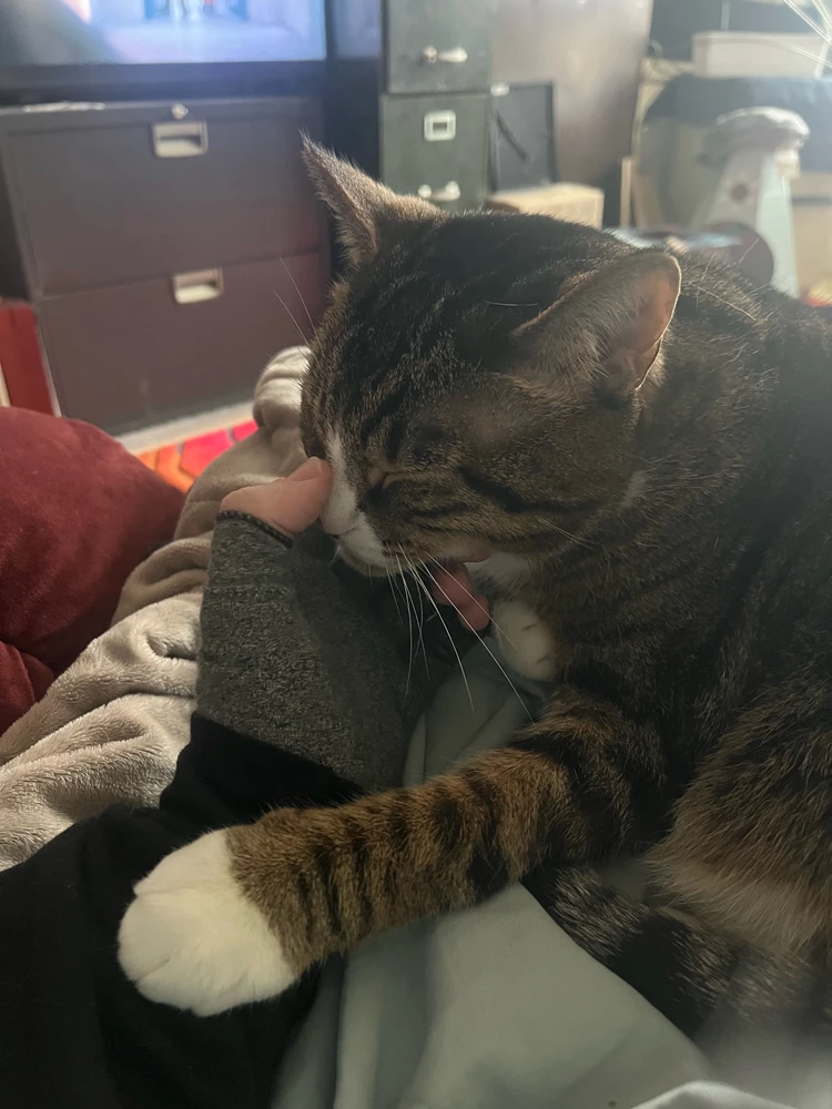 GIF uploaded by Starlite