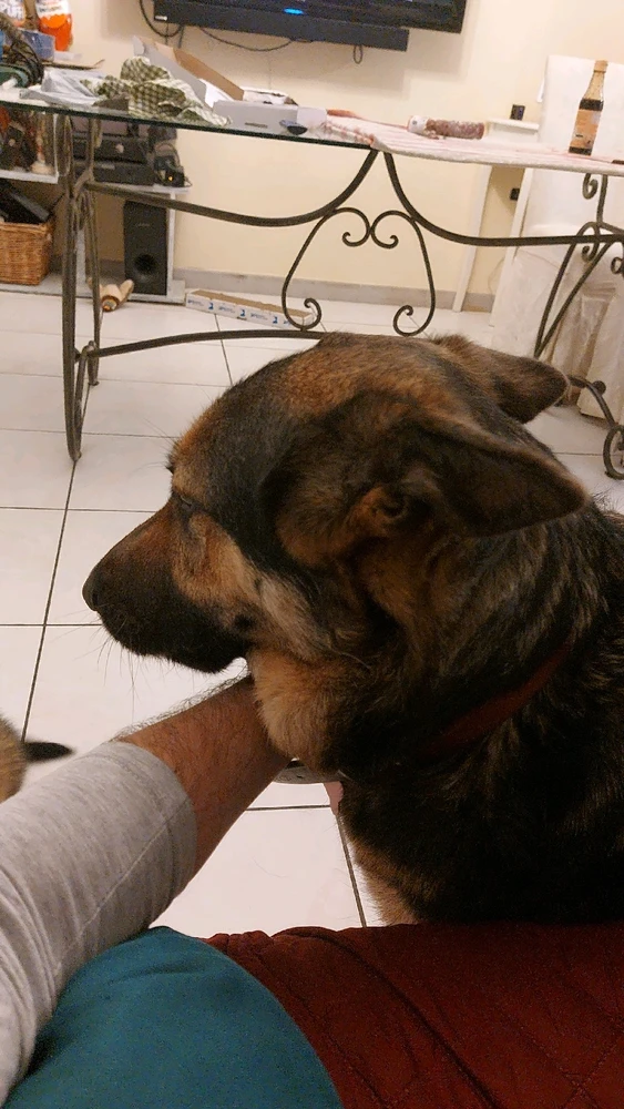 GIF caricata da Nick 🌈 Cagliari