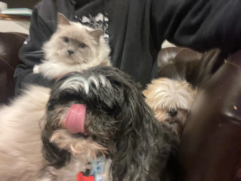 GIF uploaded by Kason