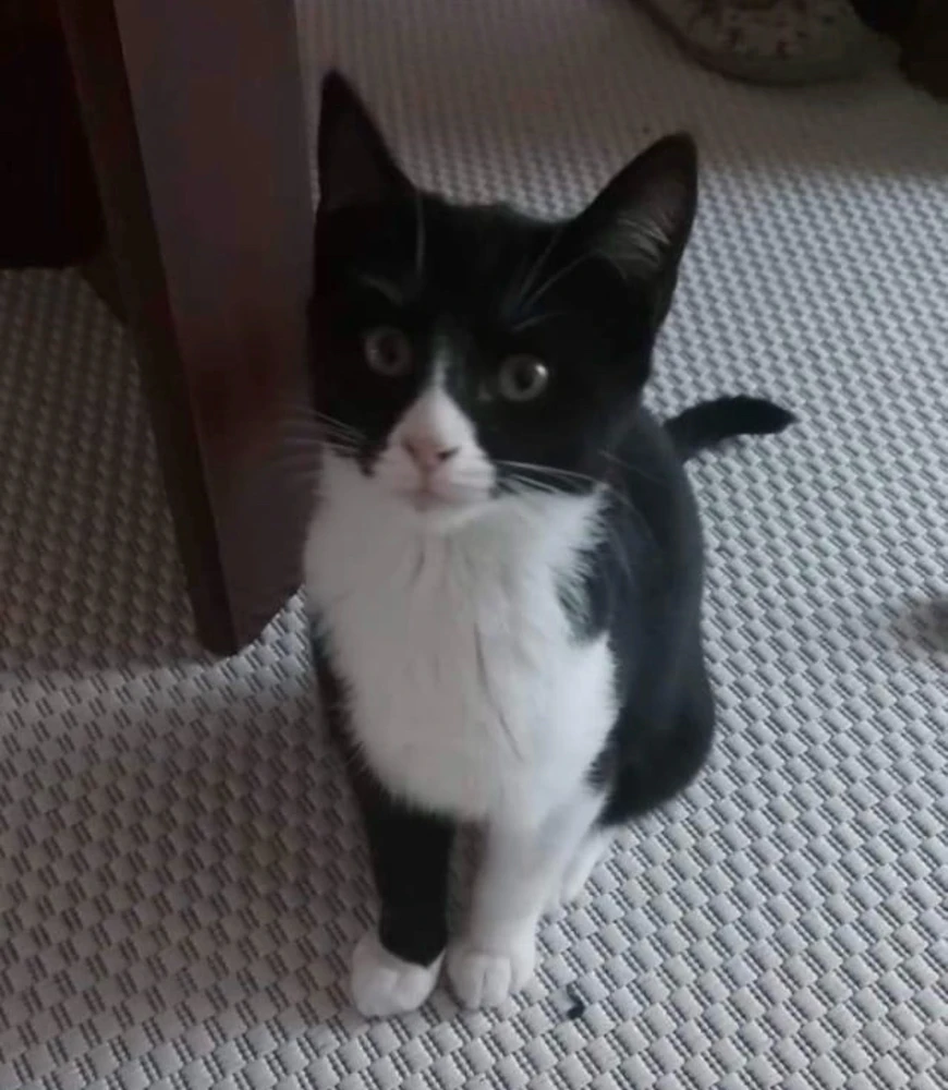 Image uploaded by FrozenEgg