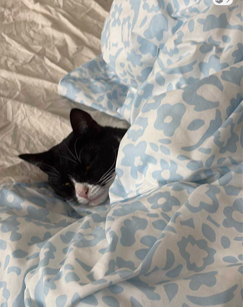 Image uploaded by FrozenEgg