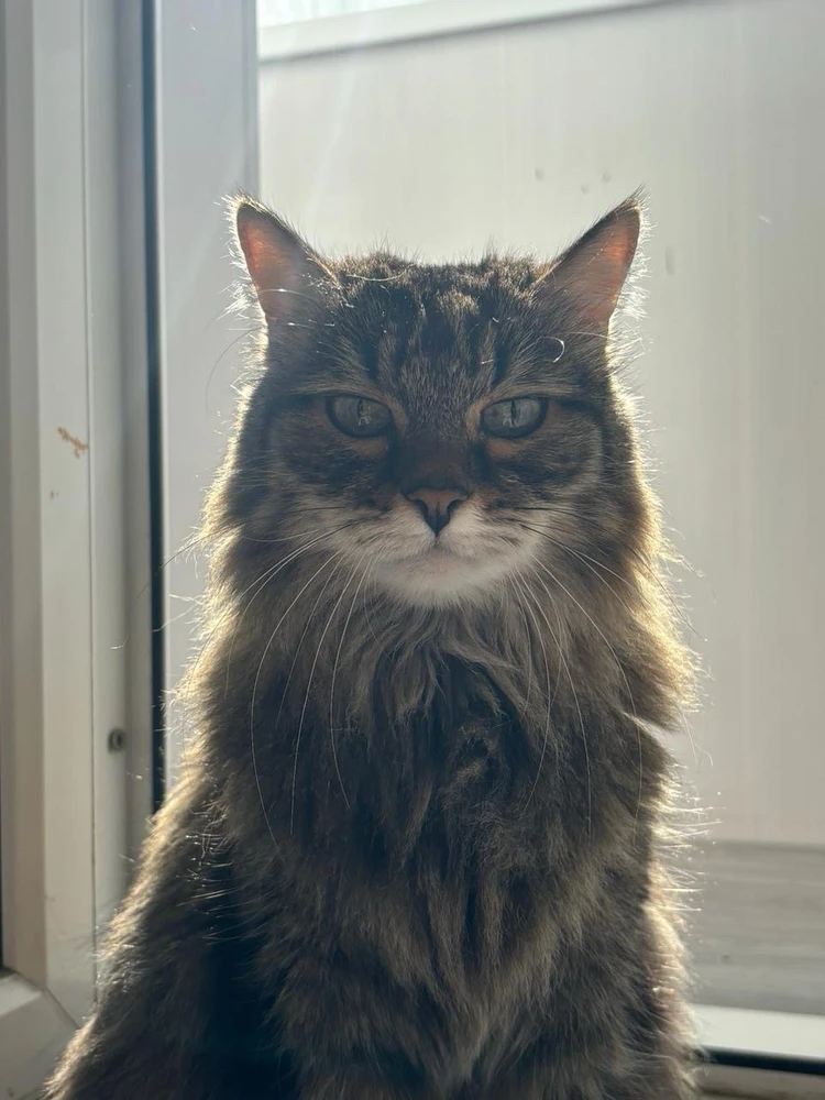 GIF enviado por Samed