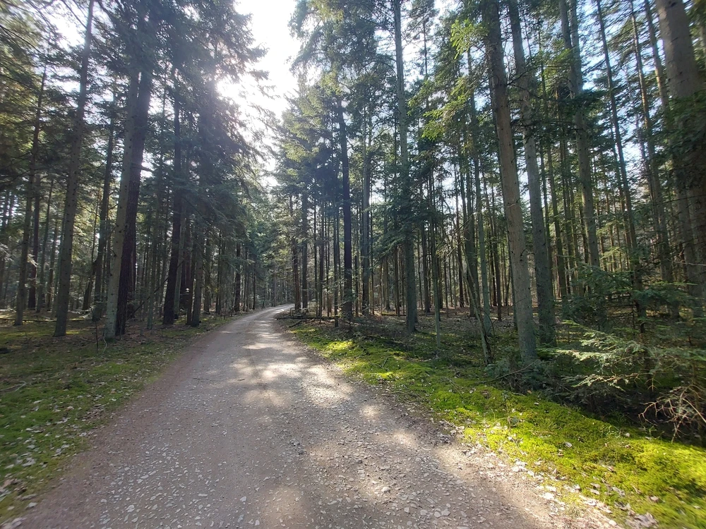 GIF dodany przez Jakub