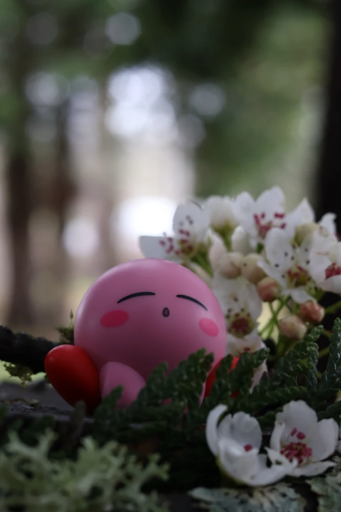 GIF uploaded by Taro