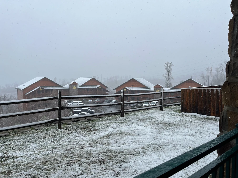 Image uploaded by Mar