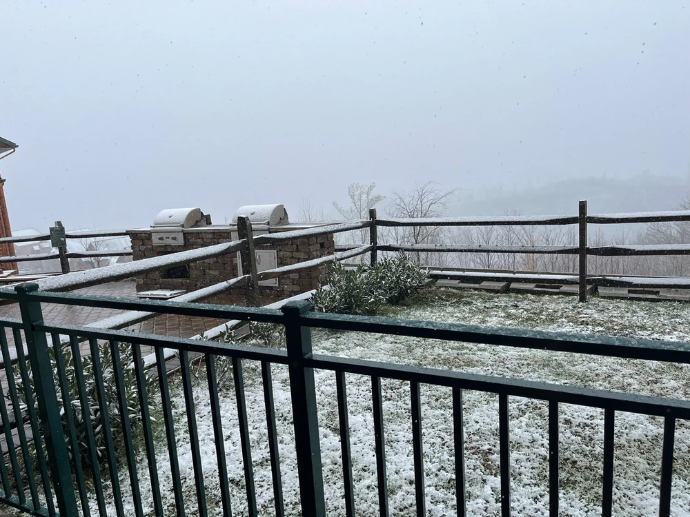 Image uploaded by Mar