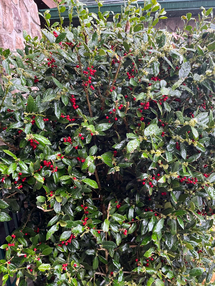 Image uploaded by Mar