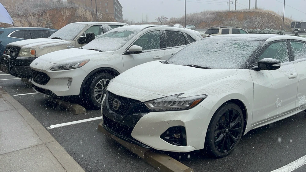 Image uploaded by Mar